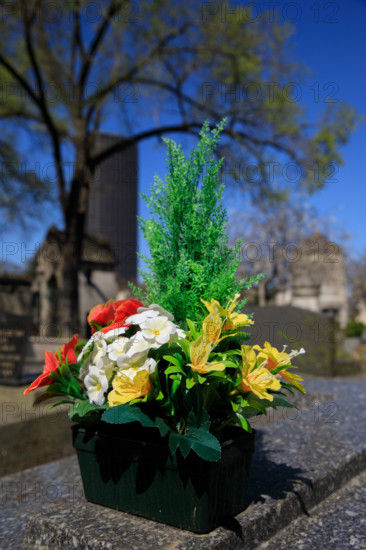 Paris, cimetière du Montparnasse