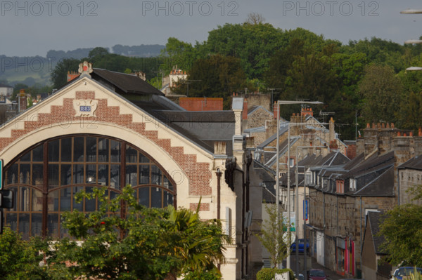 france, région Normandie, Orne, Flers, plave de Dr Vayssières, halle du marché,