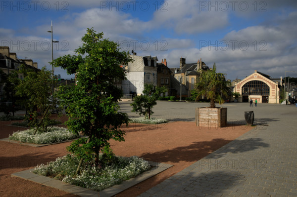 france, région Normandie, Orne, Flers, plave de Dr Vayssières, halle du marché,