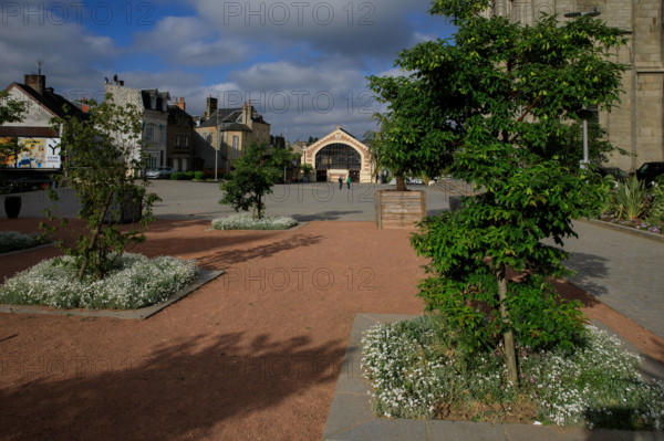 france, région Normandie, Orne, Flers, plave de Dr Vayssières, halle du marché,