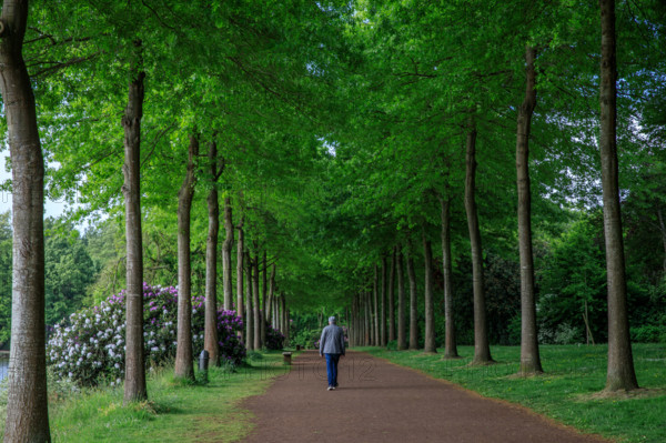 france, région Normandie, Orne, Flers, parc du chateau-musée, ancien hotel de ville,