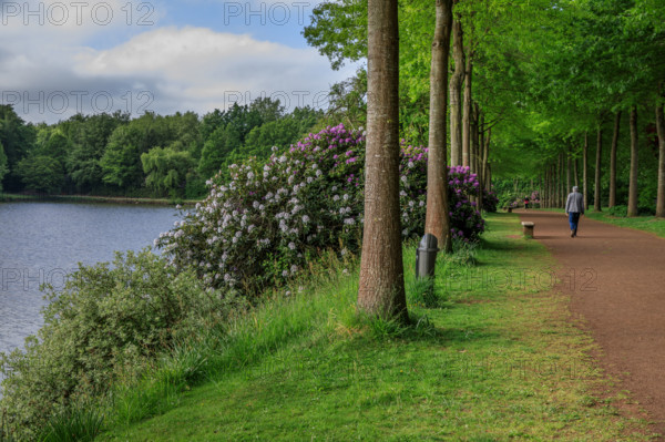 france, région Normandie, Orne, Flers, parc du chateau-musée, ancien hotel de ville,
