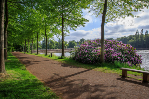 france, région Normandie, Orne, Flers, parc du chateau-musée, ancien hotel de ville,