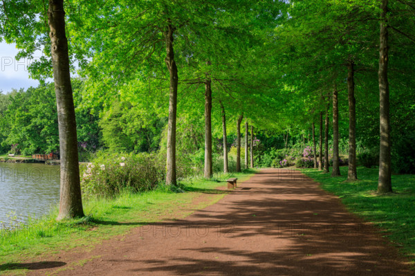 france, région Normandie, Orne, Flers, parc du chateau-musée, ancien hotel de ville,