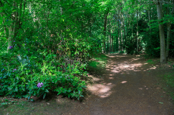 france, région Normandie, Orne, Flers, parc du chateau-musée, ancien hotel de ville,