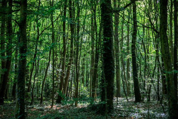 Flers, Orne