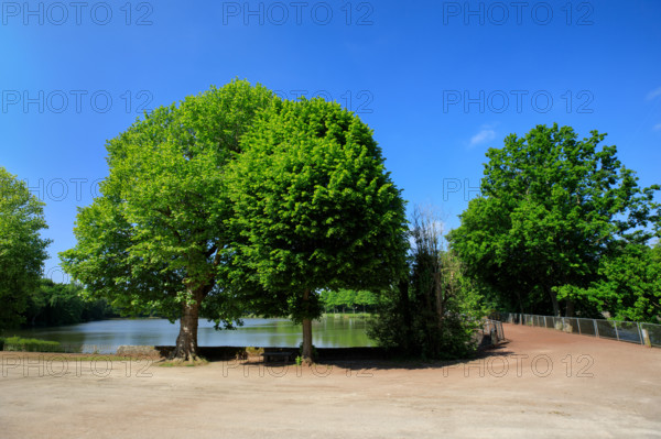 Flers, Orne