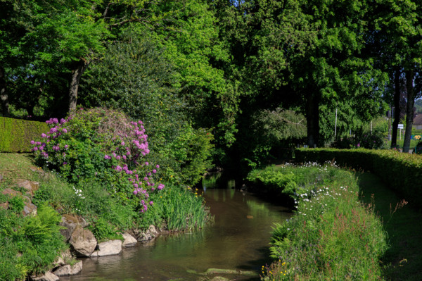 france, région Normandie, Orne, Flers, parc du chateau-musée, ancien hotel de ville,