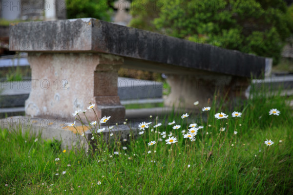 Varengeville-sur-Mer, France