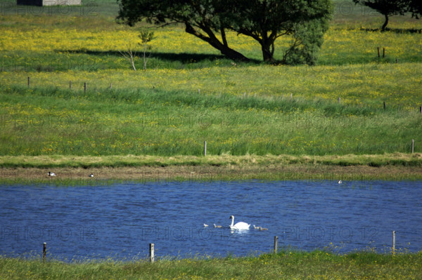 Criel-sur-Mer, Seine-Maritime