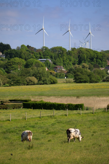 Criel-sur-Mer, Seine-Maritime
