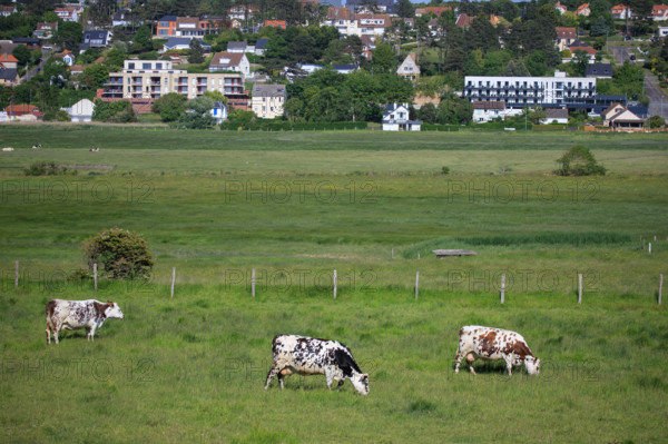 Criel-sur-Mer, Seine-Maritime