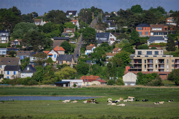 Criel-sur-Mer, Seine-Maritime