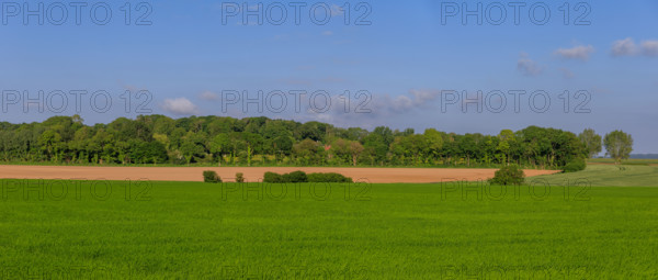 Quiberville-sur-Mer, Seine-Maritime