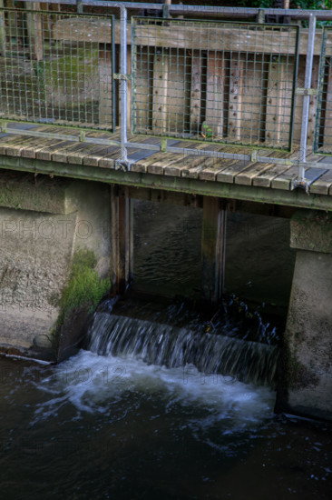 france, région Normandie, Orne, Flers, rue simmons, Bains douches numeriques, facade et jardin