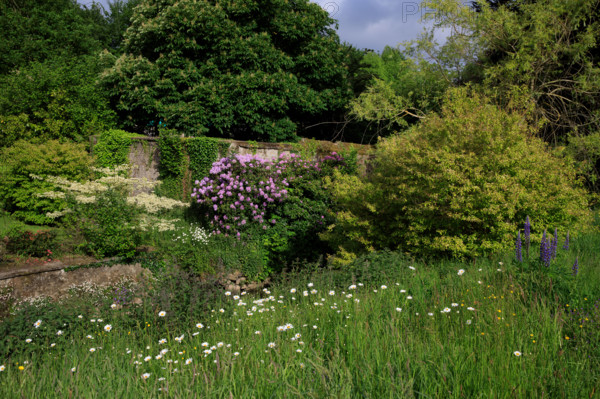 france, région Normandie, Orne, Flers, rue simmons, Bains douches numeriques, facade et jardin