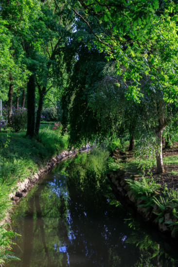 france, région Normandie, Orne, Flers, parc du chateau-musée, ancien hotel de ville,