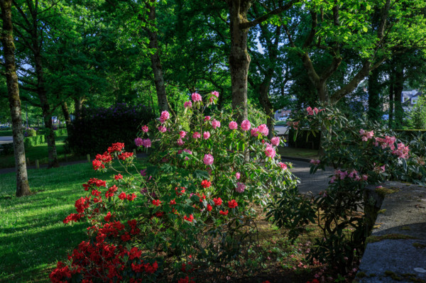 france, région Normandie, Orne, Flers, parc du chateau-musée, ancien hotel de ville,