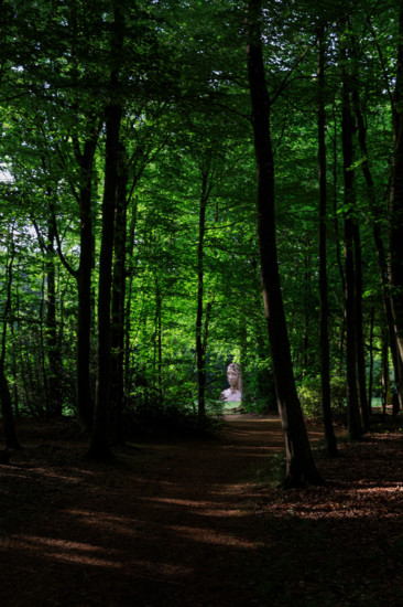 france, région Normandie, Orne, Flers, parc du chateau-musée, ancien hotel de ville,