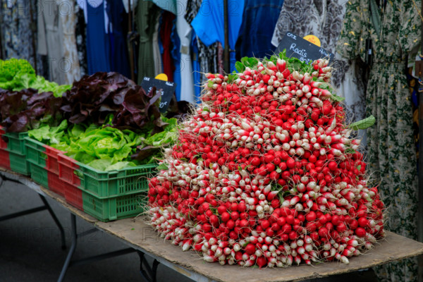 Luneray, Seine-Maritime
