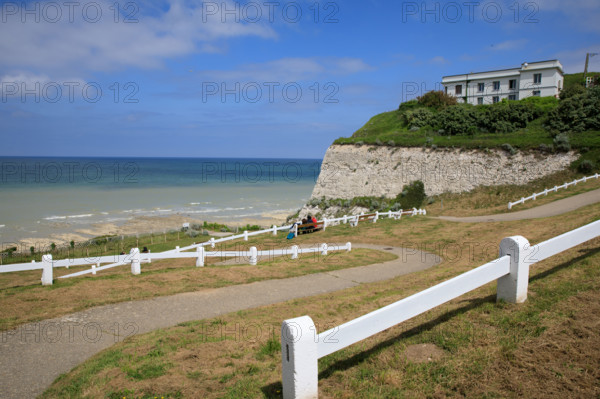 france, région Hauts de france, Somme, Ault, le bois de cise,