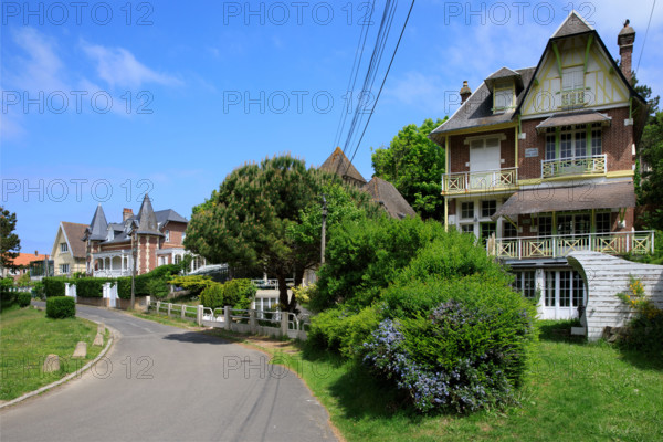 france, région Hauts de france, Somme, Ault, le bois de cise,