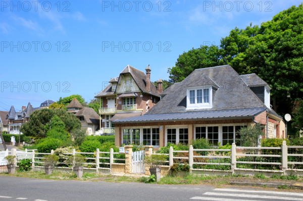 france, région Hauts de france, Somme, Ault, le bois de cise,