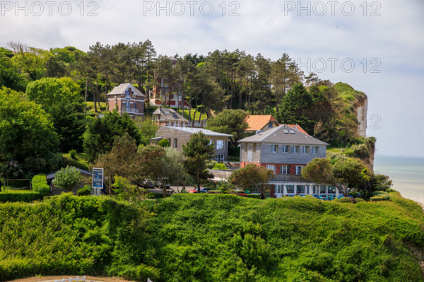 france, région Hauts de france, Somme, Ault, le bois de cise,