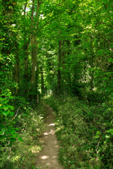 france, région Hauts de france, Somme, Ault, porte du moulinet et escaliers vers les hauteurs de la ville,