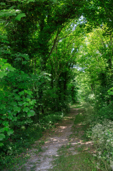 france, région Hauts de france, Somme, Ault, porte du moulinet et escaliers vers les hauteurs de la ville,