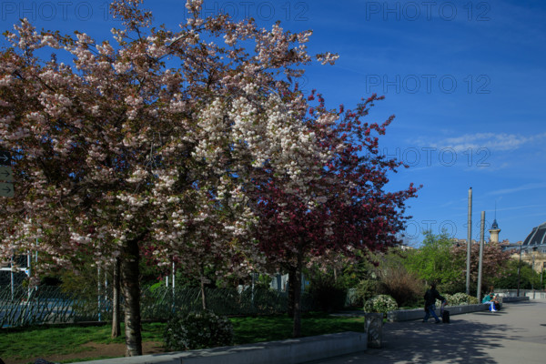 Paris, Jardin Nelson Mandela