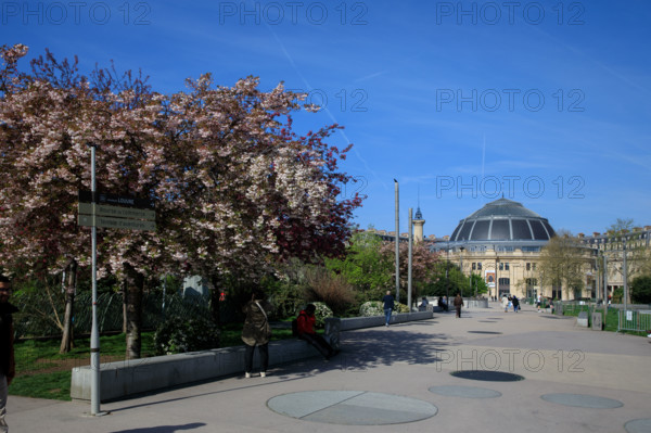 Paris, Jardin Nelson Mandela