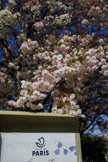 Paris, Jardin Nelson Mandela