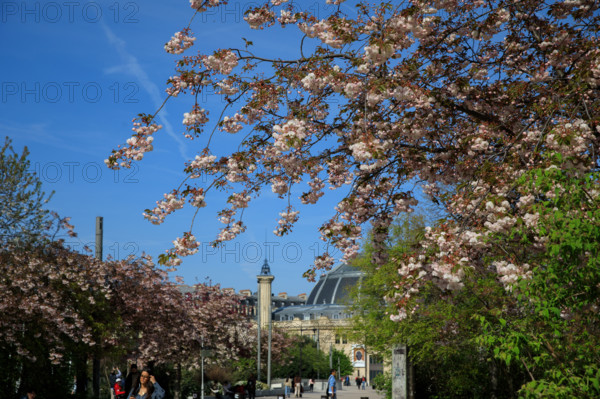Paris, Jardin Nelson Mandela