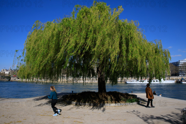 Paris, quai Saint-Bernard