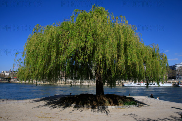 Paris, quai Saint-Bernard