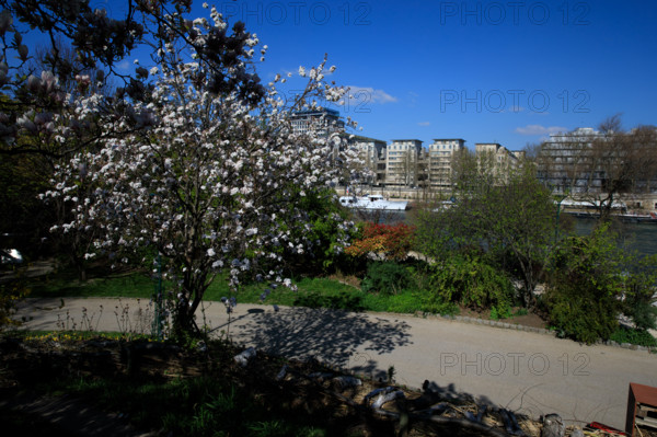 Paris, quai Saint-Bernard