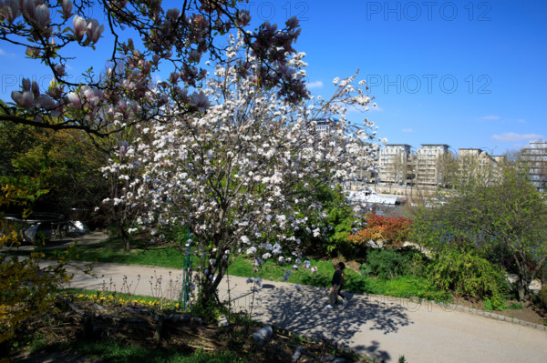 Paris, quai Saint-Bernard