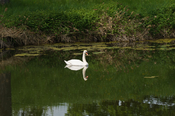 france, région centre, Loiret, Briare, pont canal de Birare, pont-canal portant le canal latéral à la Loire au-dessus de la Loire. concu pas les ateliers de Gustave Eiffel,