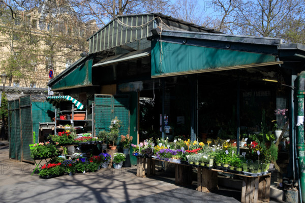 Paris, Marché aux Fleurs