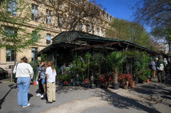 Paris, Marché aux Fleurs