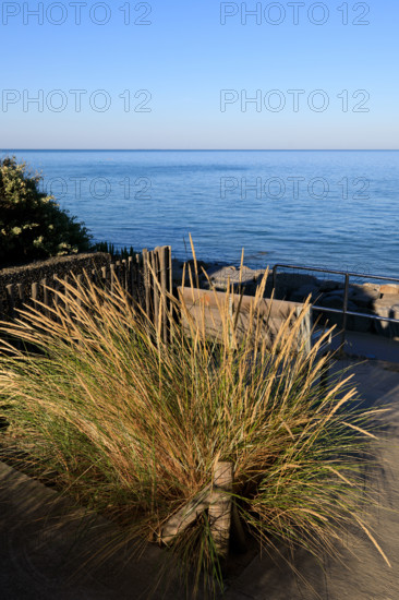 france, region Normandie, Manche, cotentin, Agon coutainville, le Passous,