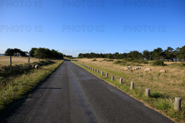france, region Normandie, Manche, cotentin, Agon coutainville, pointe d'Agon,