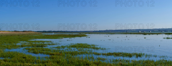 france, region Normandie, Manche, cotentin, Agon coutainville, pointe d'Agon,