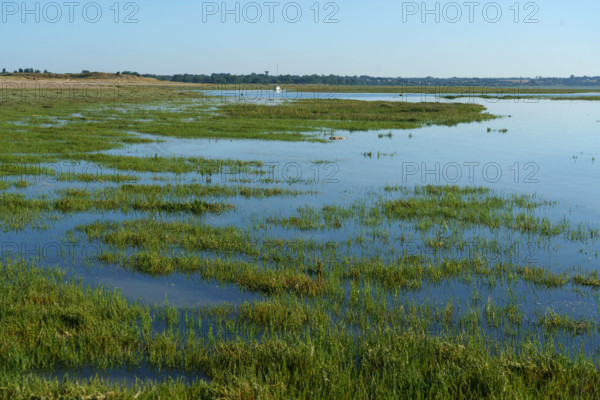 france, region Normandie, Manche, cotentin, Agon coutainville, pointe d'Agon,