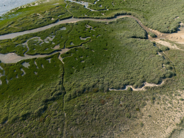 france, region Normandie, Manche, cotentin, Agon coutainville, pointe d'Agon,