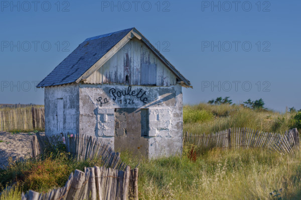 france, region Normandie, Manche, cotentin, Agon coutainville,, plage de la Poulette, babine,
