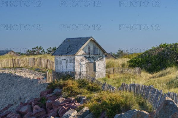 france, region Normandie, Manche, cotentin, Agon coutainville,, plage de la Poulette, babine,