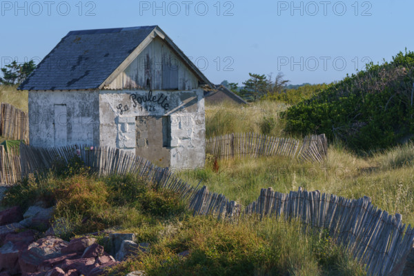 france, region Normandie, Manche, cotentin, Agon coutainville,, plage de la Poulette, babine,