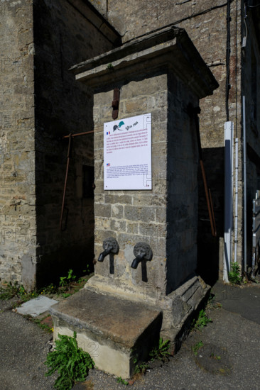 france, region Normandie, Manche, cotentin, Sainte-Marie du Mont,